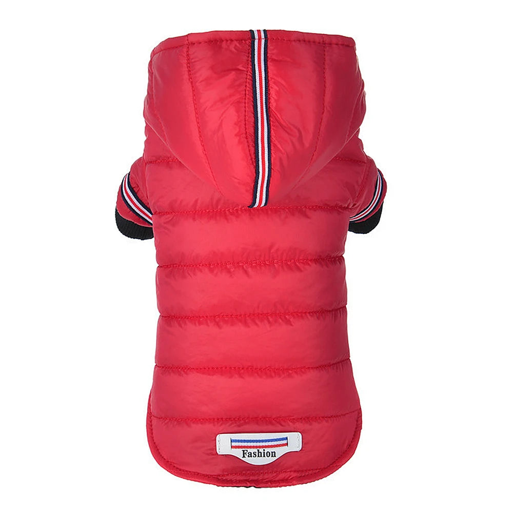 Chaqueta Impermeable para Perros Pequeños – Abrigo de Invierno para Chihuahua y Razas Similares
