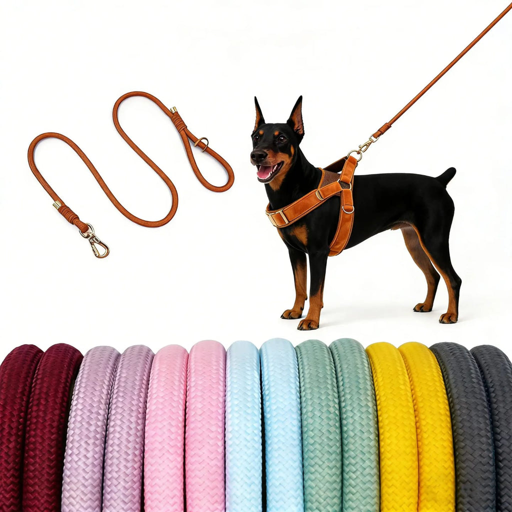 Correa de Poliéster para Perros – Resistente, Lavable y con Gancho 360°