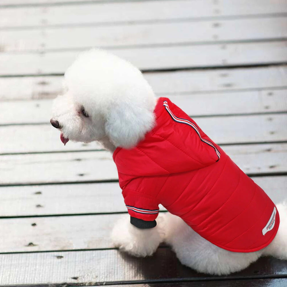Chaqueta Impermeable para Perros Pequeños – Abrigo de Invierno para Chihuahua y Razas Similares