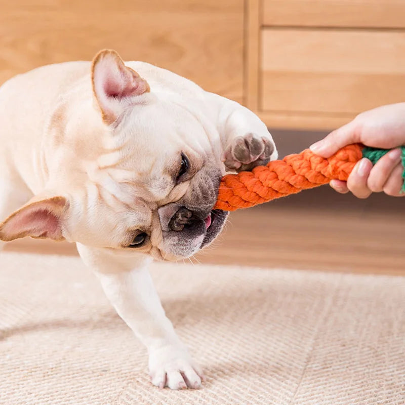 Juguete de Cuerda para Perros – Formas Divertidas para Morder y Jugar
