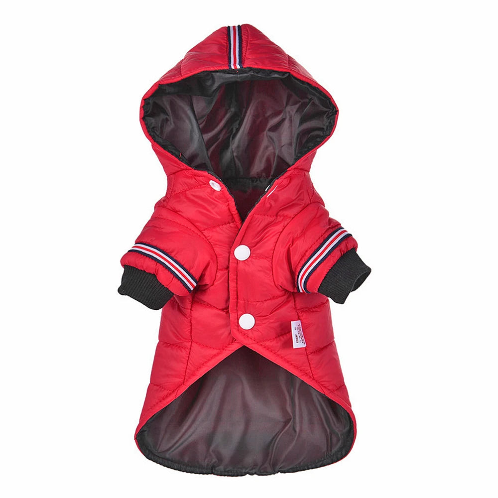 Chaqueta Impermeable para Perros Pequeños – Abrigo de Invierno para Chihuahua y Razas Similares