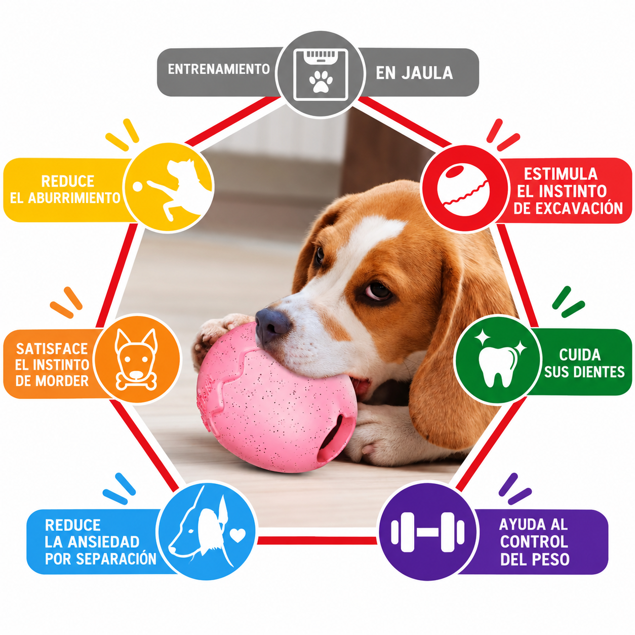 Juguete Interactivo Dispensador de Premios para Perros