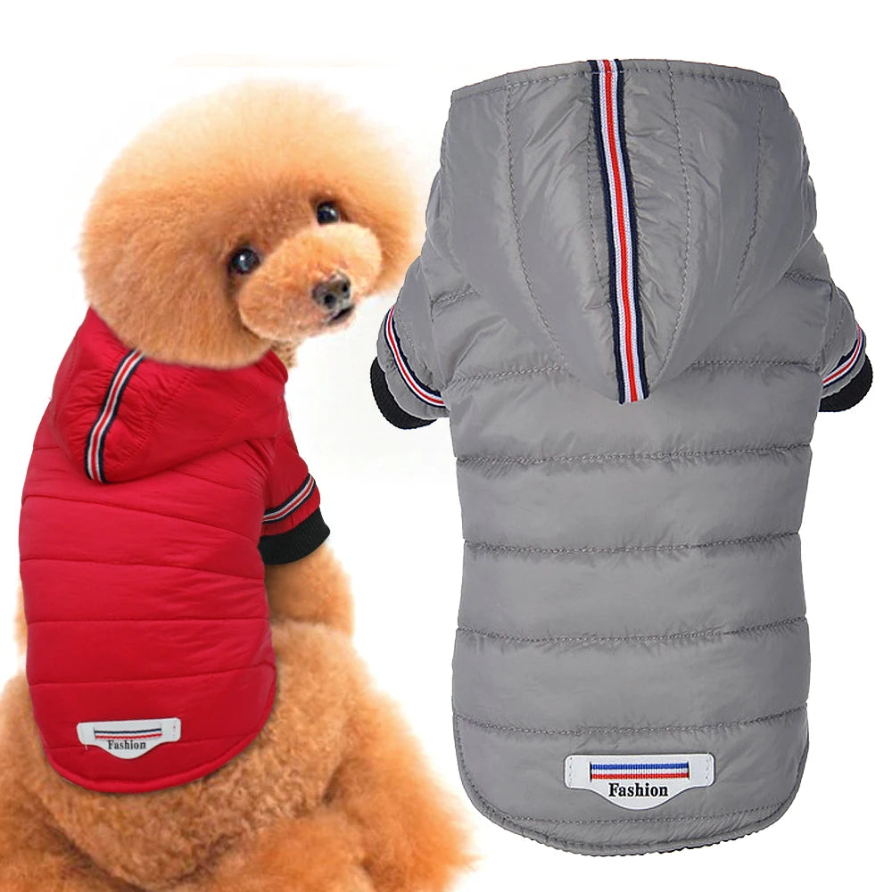Chaqueta Impermeable para Perros Pequeños – Abrigo de Invierno para Chihuahua y Razas Similares